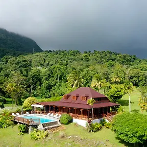 Jardin Malanga Basse-Terre